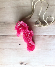 Load image into Gallery viewer, Seahorse Car Freshie - Ombré 2 Colors