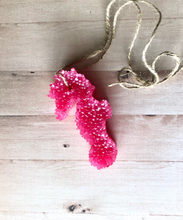 Load image into Gallery viewer, Seahorse Car Freshie - Ombré 2 Colors
